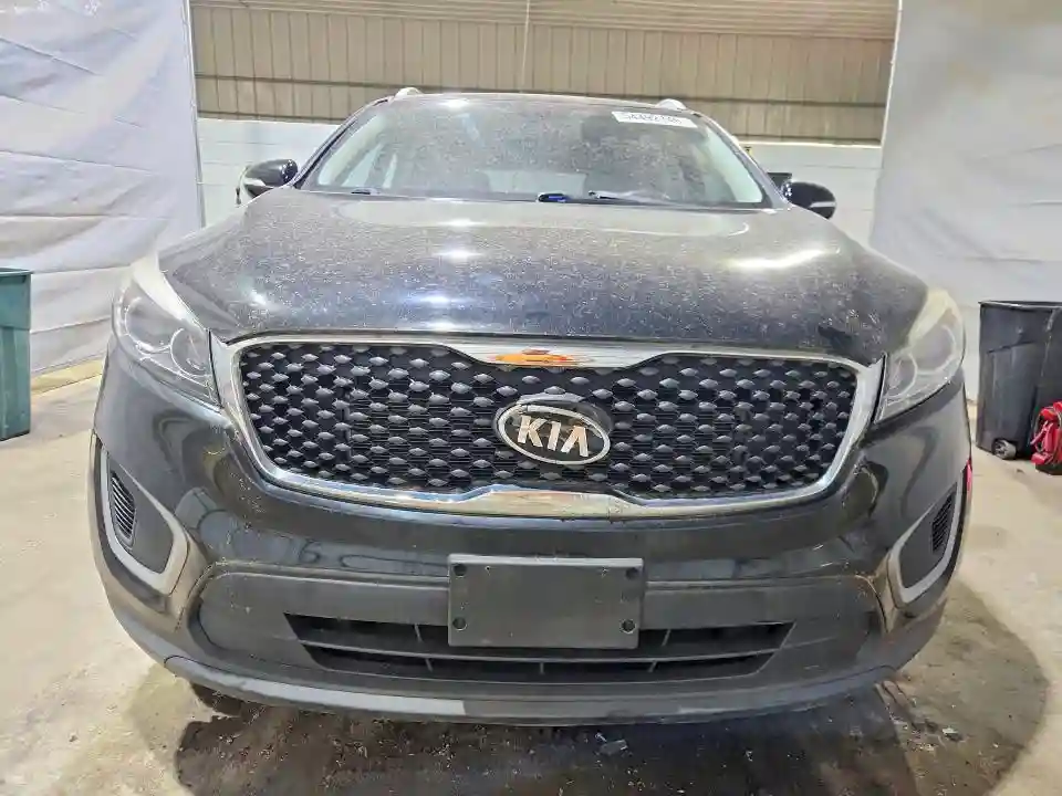 5XYPGDA5XGG084392 2016 KIA SORENTO-4