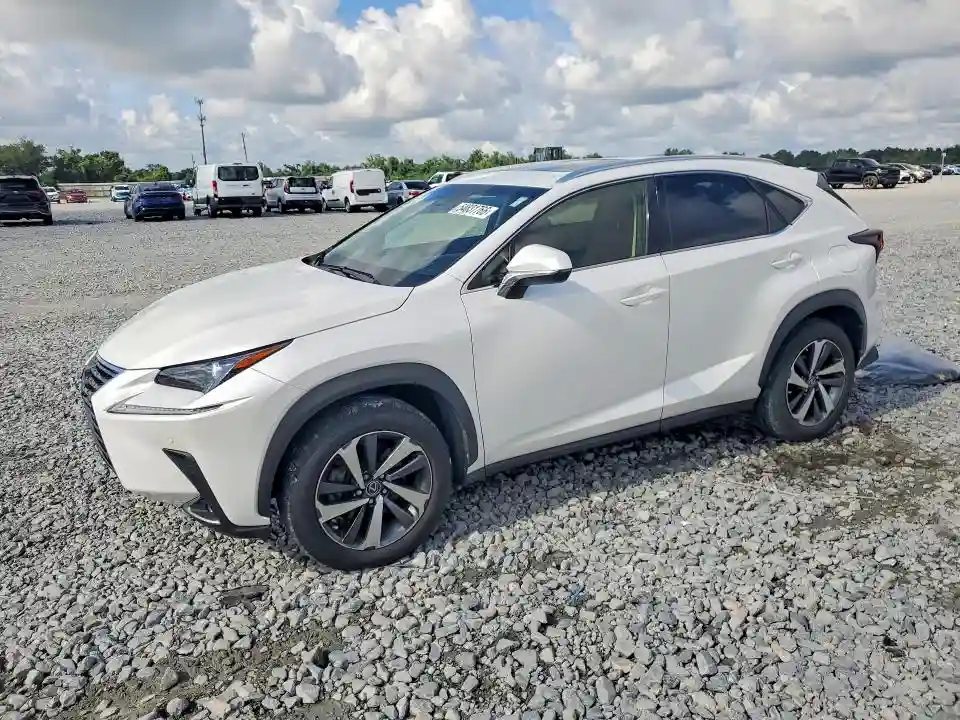 JTJYARBZ0K2141090 2019 LEXUS NX-0