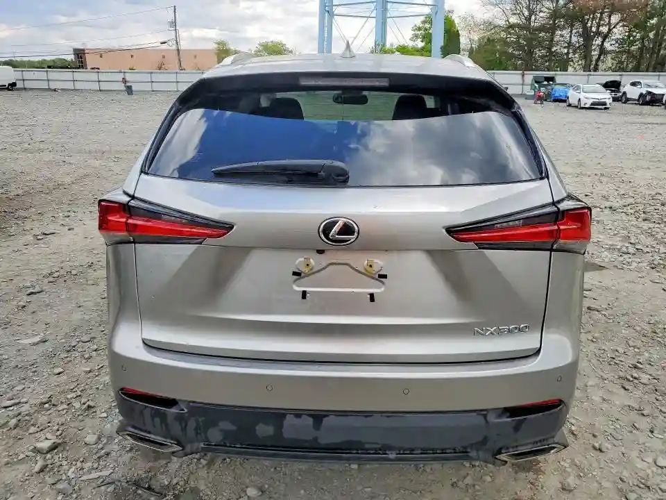 JTJDARDZ1M2253699 2021 LEXUS NX-5