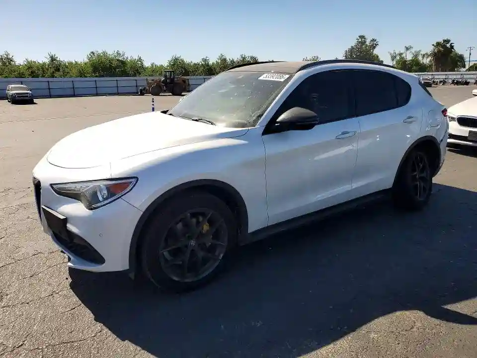 ZASPAKBN2K7C49398 2019 ALFA ROMEO STELVIO-0
