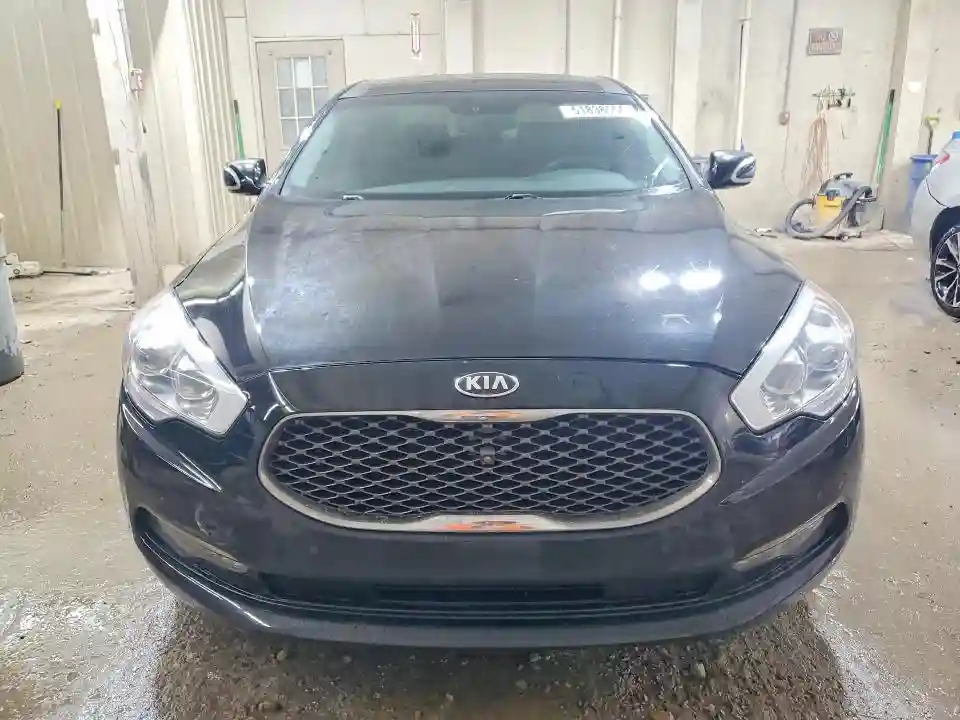 KNALU4D40F6025487 2015 KIA K900-4