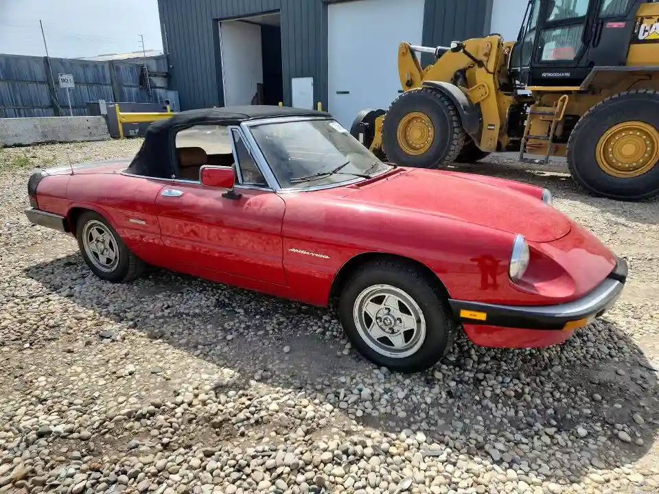 ZARBA5586J1058147 1988 ALFA ROMEO SPIDER-3