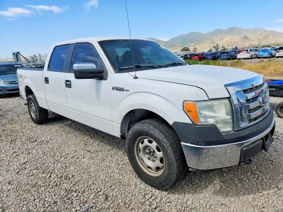 1FTFW1EV8AFD34200 2010 FORD F150-3