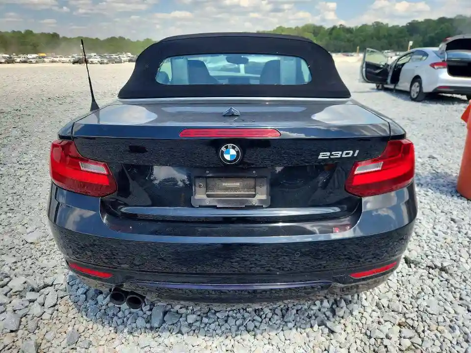 WBA2K9C33HV950605 2017 BMW 2 SERIES-5