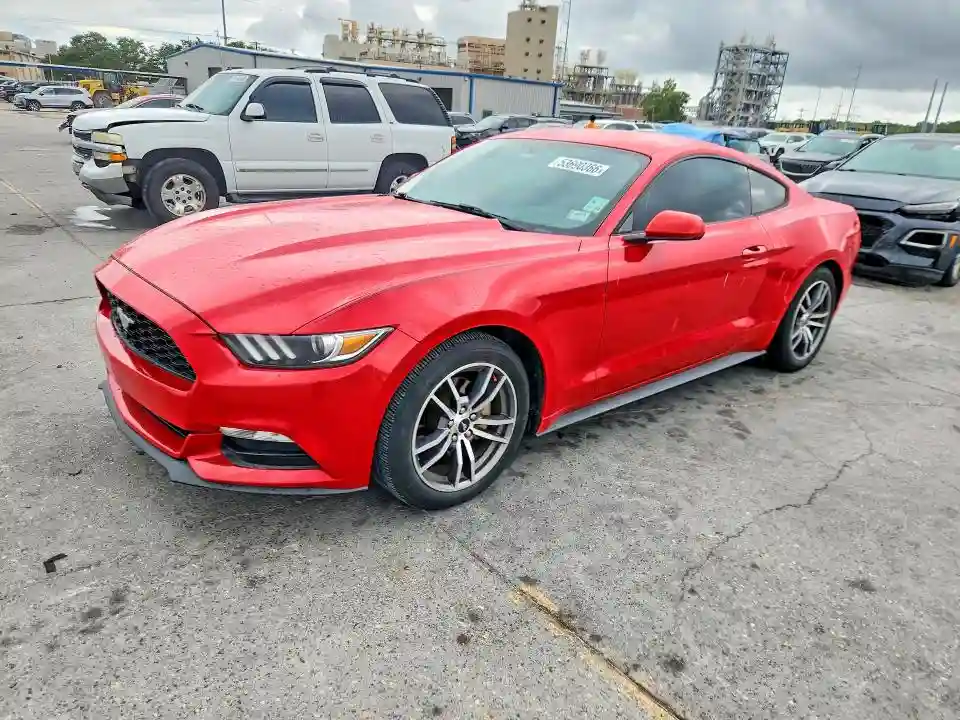 1FA6P8AM3G5272003 2016 FORD MUSTANG-0