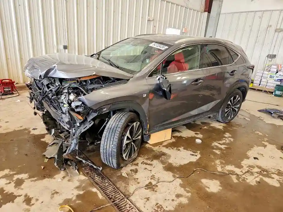 JTJSARDZ9L5007388 2020 LEXUS NX-0