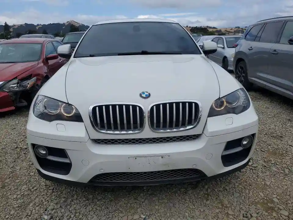 5UXFG2C50E0C45687 2014 BMW X6-4