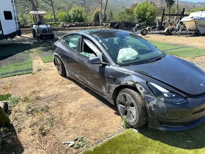 5YJ3E1EB3PF612526 2023 TESLA MODEL 3-0