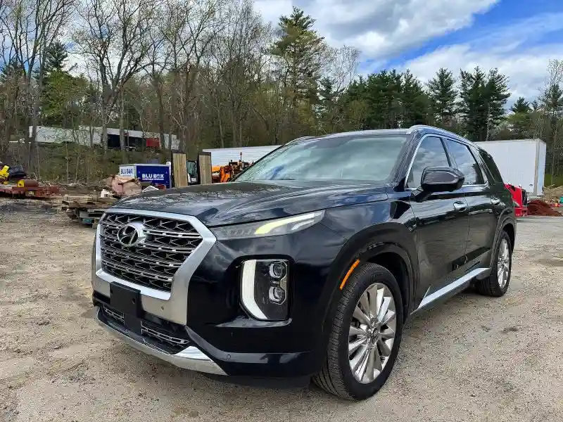KM8R54HE6LU073642 2020 HYUNDAI PALISADE-1