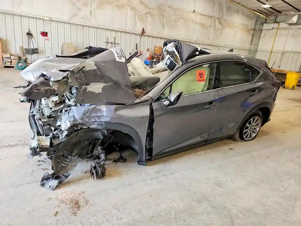 JTJBARBZ6K2199372 2019 LEXUS NX-0