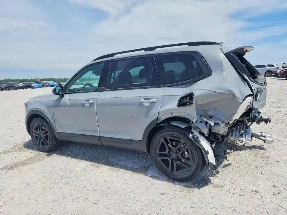 5XYP3DGC3SG733007 2025 KIA TELLURIDE-1
