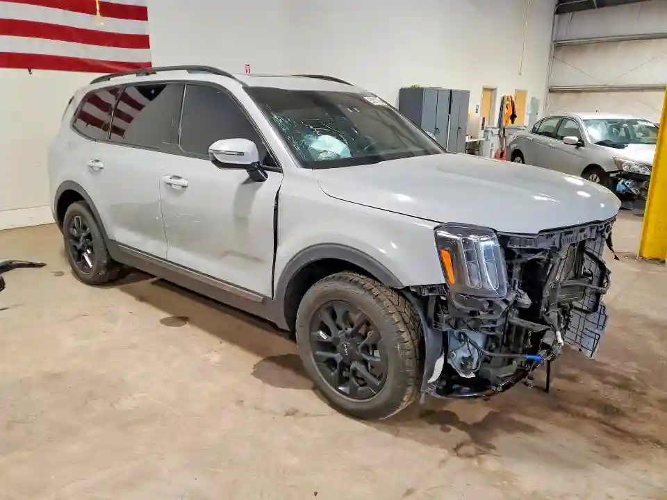 5XYP5DGC4PG356205 2023 KIA TELLURIDE-3