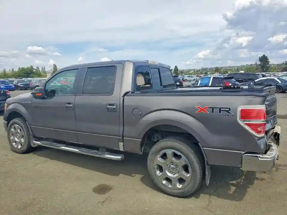 1FTFW1EV0AFA99355 2010 FORD F-150-1