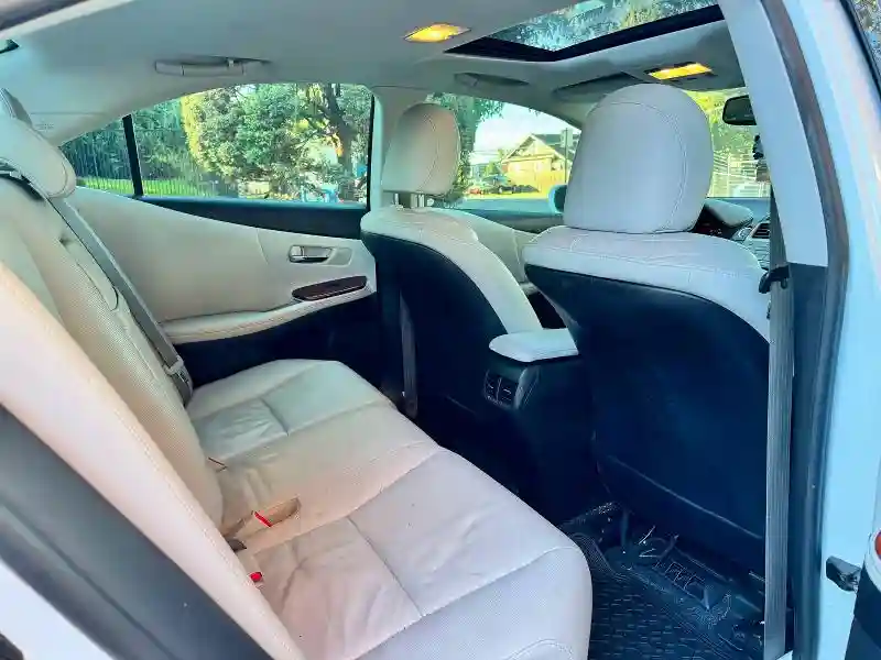 JTHBB1BA0A2007484 2010 LEXUS HS-5
