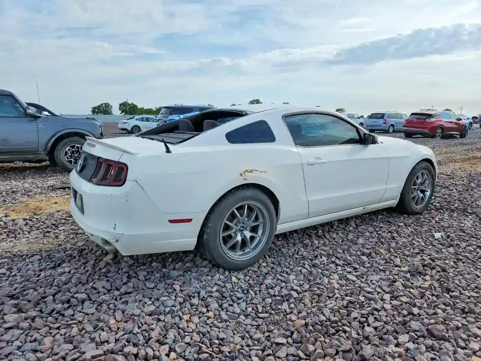 1ZVBP8AM1D5269621 2013 FORD MUSTANG-2