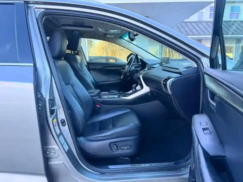 JTJBARBZ5G2095978 2016 LEXUS NX-4