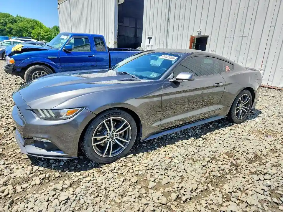 1FA6P8TH8H5295679 2017 FORD MUSTANG-0
