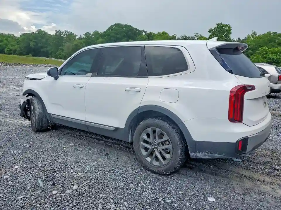 5XYP24GC7RG434052 2024 KIA TELLURIDE-1
