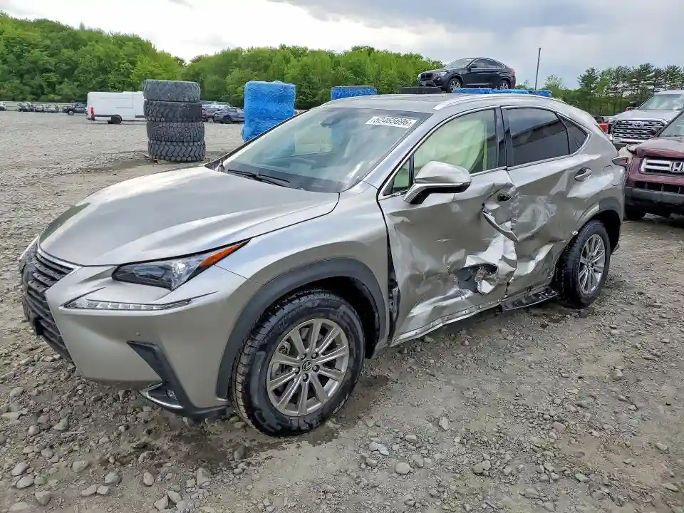 JTJDARDZ1M2253699 2021 LEXUS NX-0