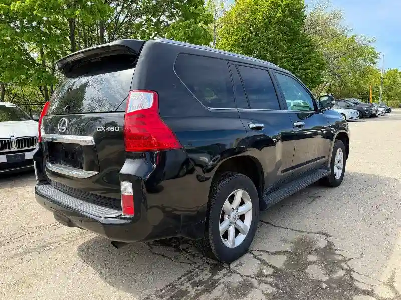 JTJBM7FX2A5016910 2010 LEXUS GX 460 BAS-3