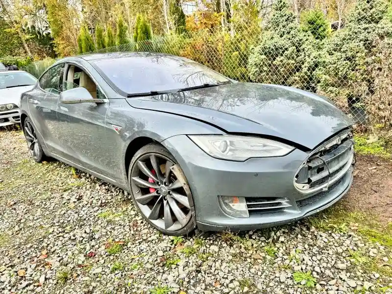 5YJSA1H17EFP29887 2014 TESLA MODEL S-0