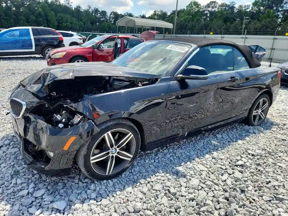 WBA2K9C33HV950605 2017 BMW 2 SERIES-0