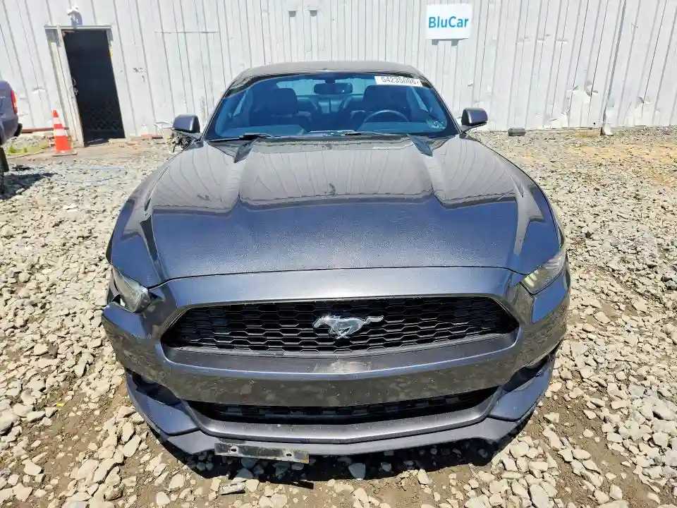 1FA6P8TH8H5295679 2017 FORD MUSTANG-4