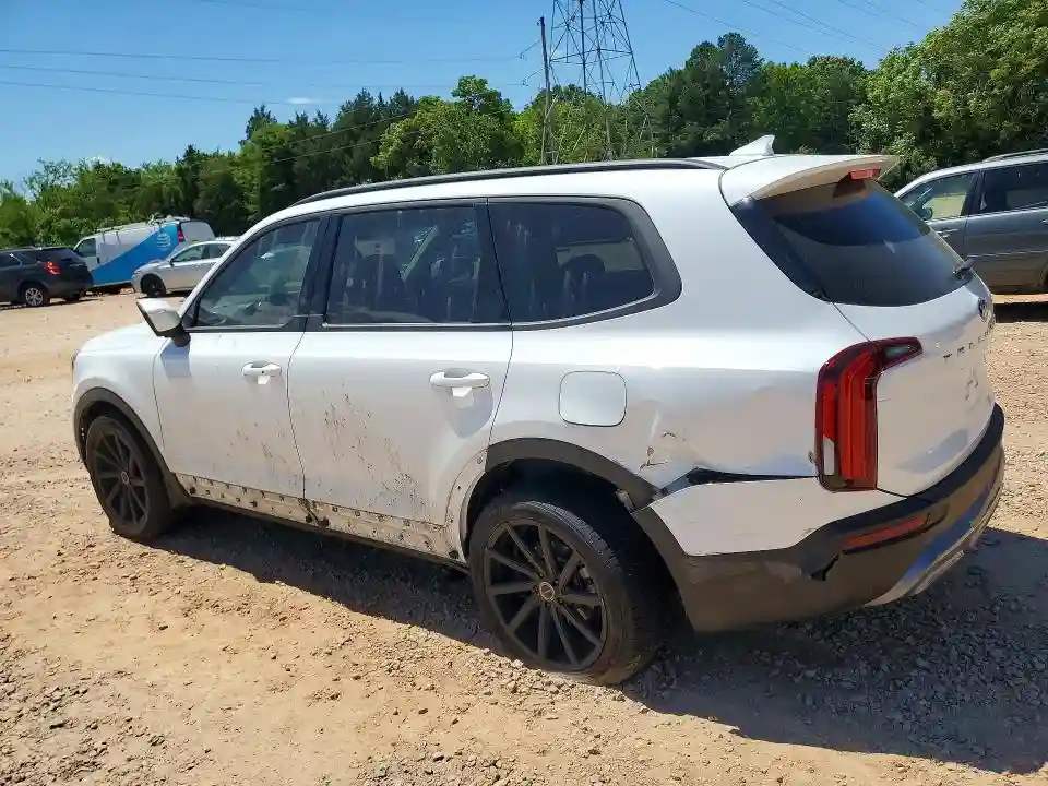 5XYP34HC9LG060918 2020 KIA TELLURIDE-1