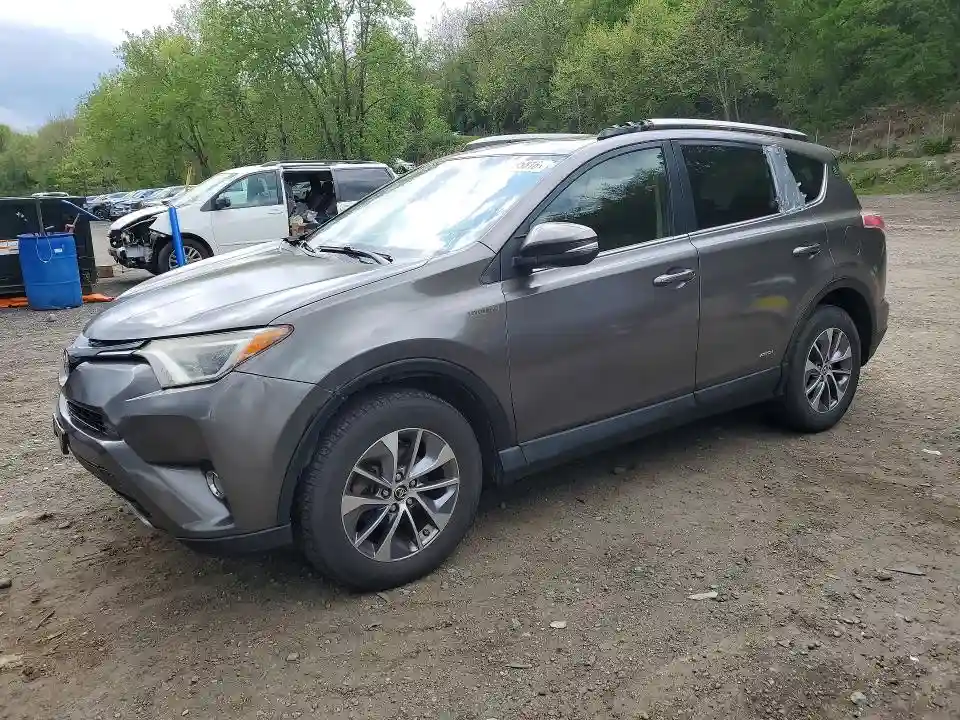 JTMRJREV7GD025980 2016 TOYOTA RAV4-0