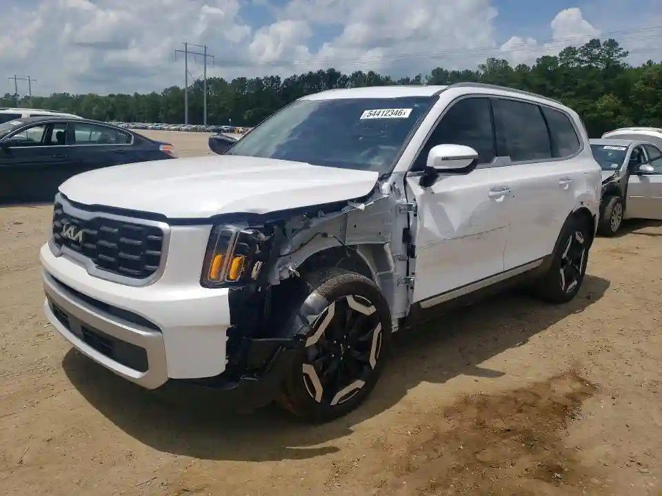 5XYP64GC6RG512499 2024 KIA TELLURIDE-0