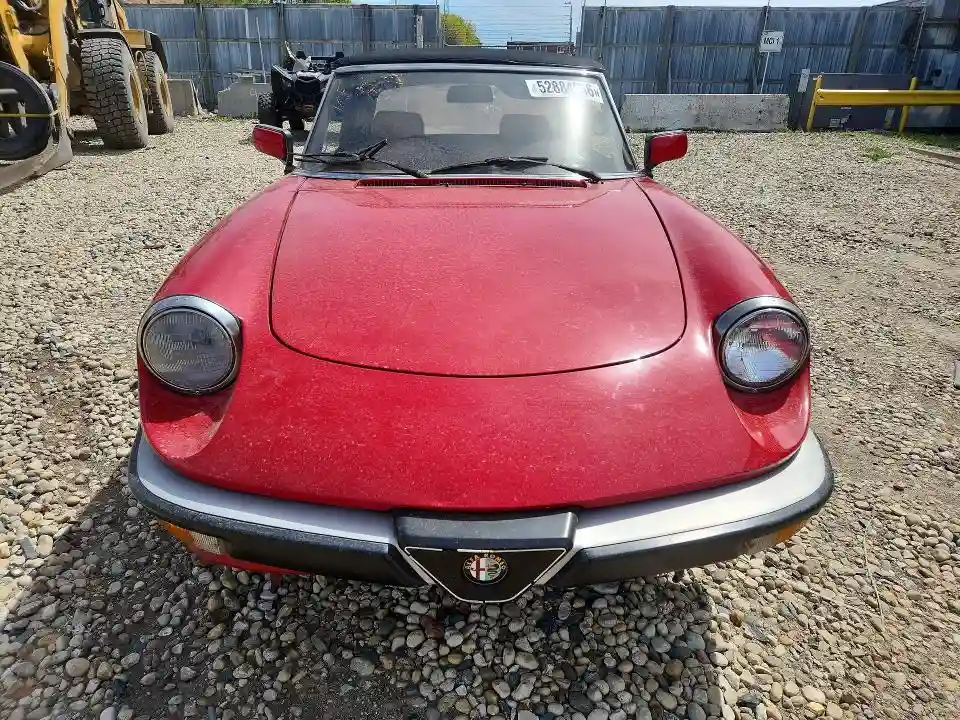 ZARBA5586J1058147 1988 ALFA ROMEO SPIDER-4