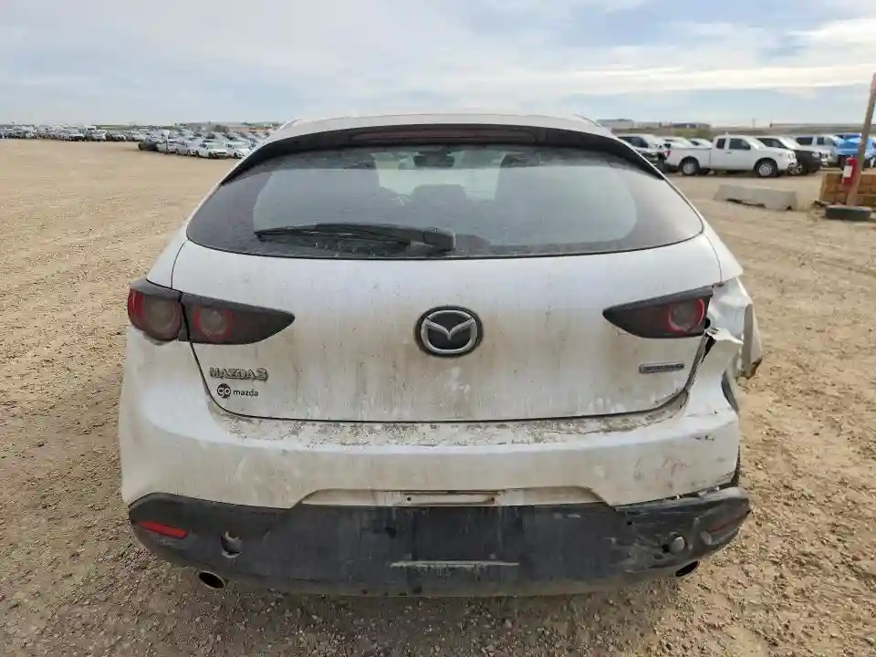 JM1BPALM3K1118713 2019 MAZDA 3-5