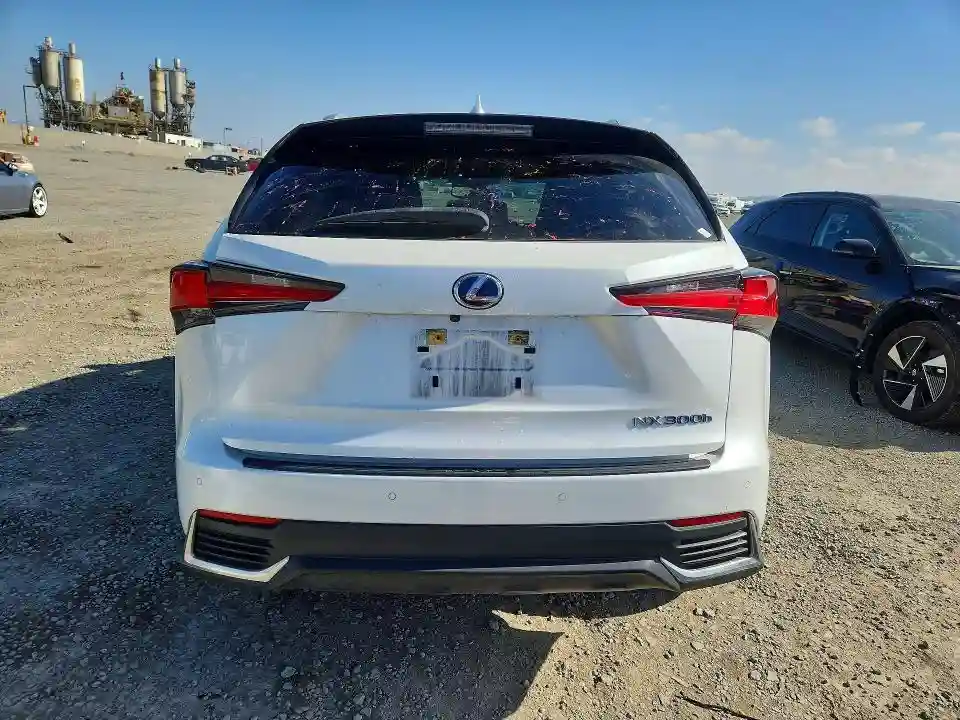 JTJDJRDZ3L5001370 2020 LEXUS NX-5