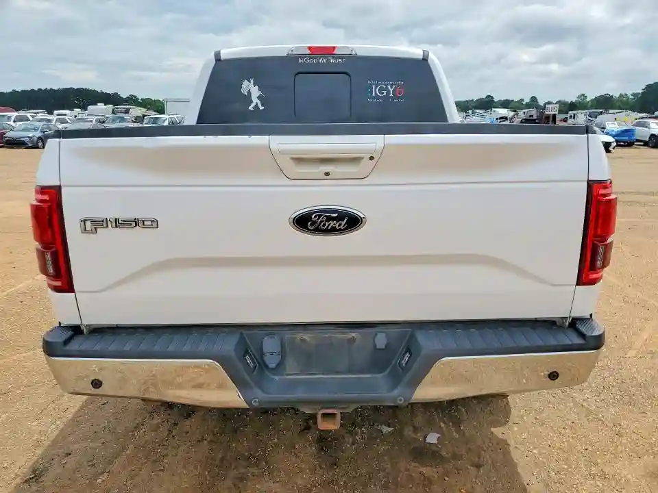 1FTEW1EG9FKD96233 2015 FORD F150-5