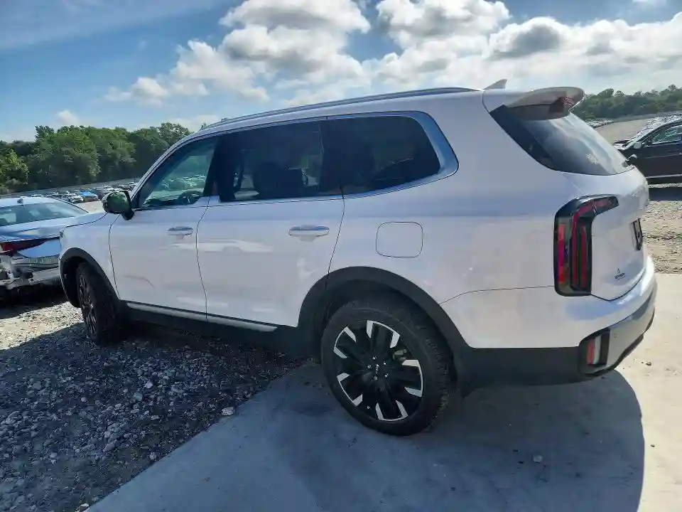 5XYP54GC6PG383843 2023 KIA TELLURIDE-2