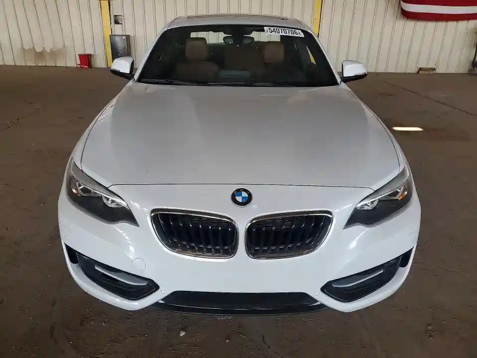 WBA1G9C50GVX97050 2016 BMW 2 SERIES-4
