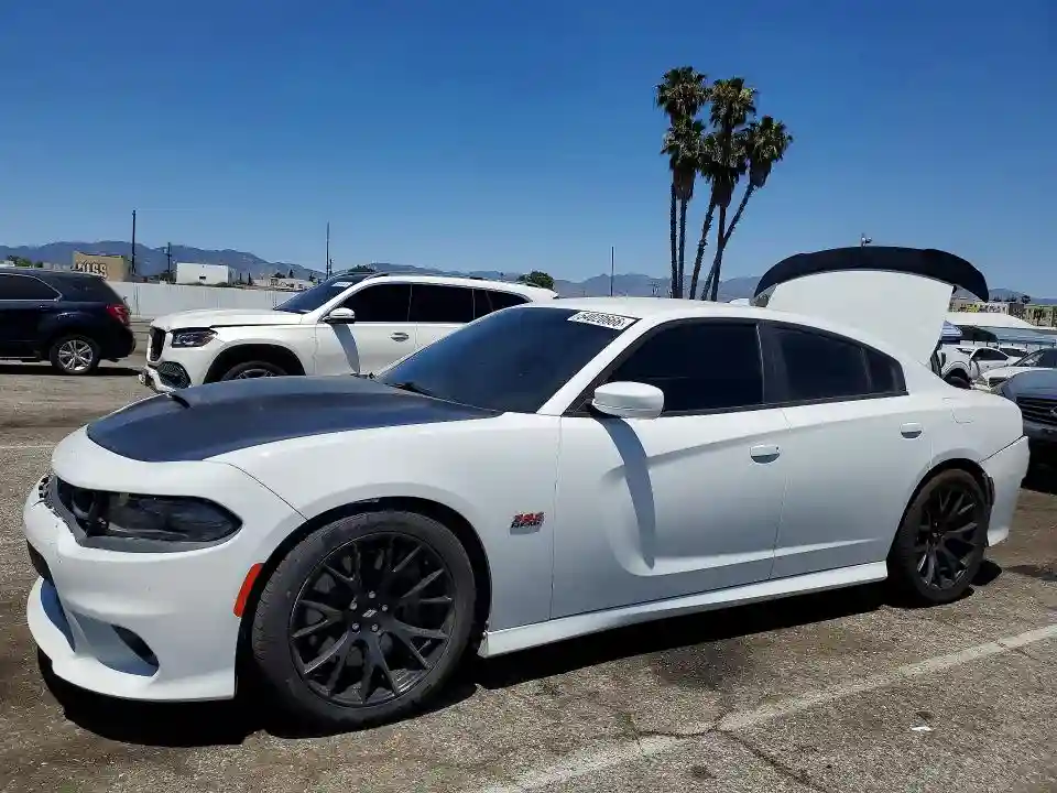 2C3CDXGJ1KH519540 2019 DODGE CHARGER-0