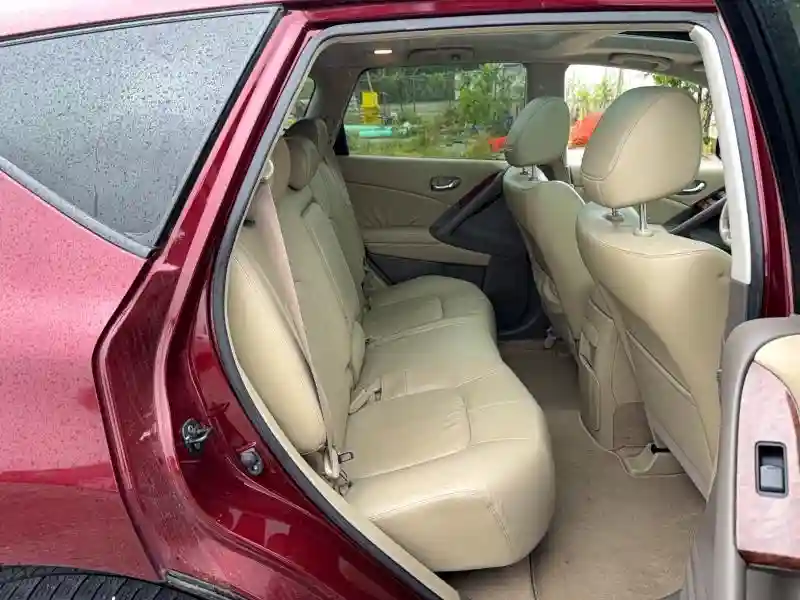 JN8AZ1MW0AW104084 2010 NISSAN MURANO-5