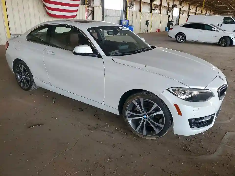 WBA1G9C50GVX97050 2016 BMW 2 SERIES-3