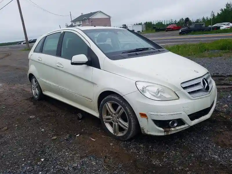 WDDFH3DB3BJ741343 2011 MERCEDES-BENZ B-CLASS-3