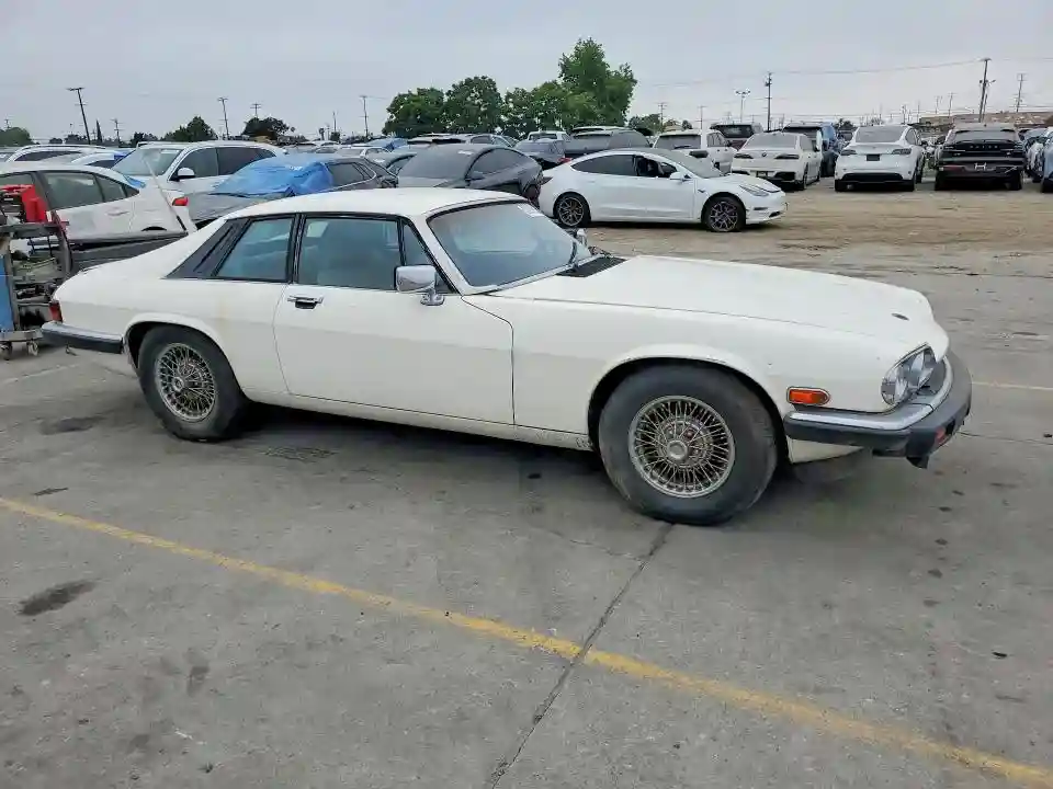 SAJNV5842EC113497 1984 JAGUAR XJS-3
