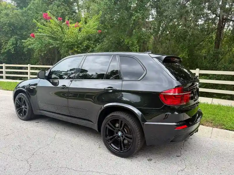 5YMGY0C53DLL15689 2013 BMW X5-2