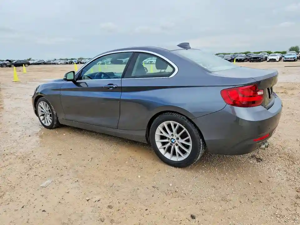 WBA1F5C55EVV99167 2014 BMW 2 SERIES-1