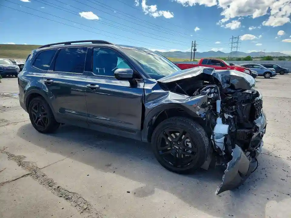 5XYP5DGC1RG436905 2024 KIA TELLURIDE-3