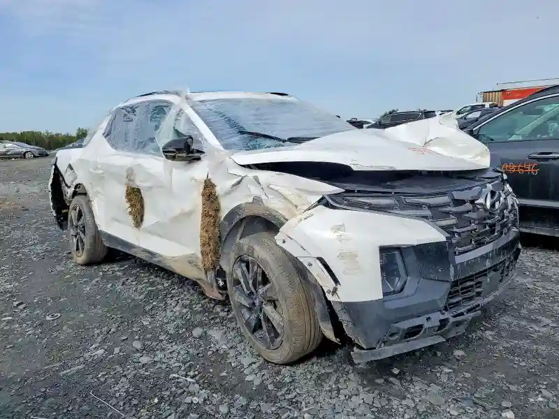 5NTJEDDF0RH102900 2024 HYUNDAI SANTA CRUZ-3