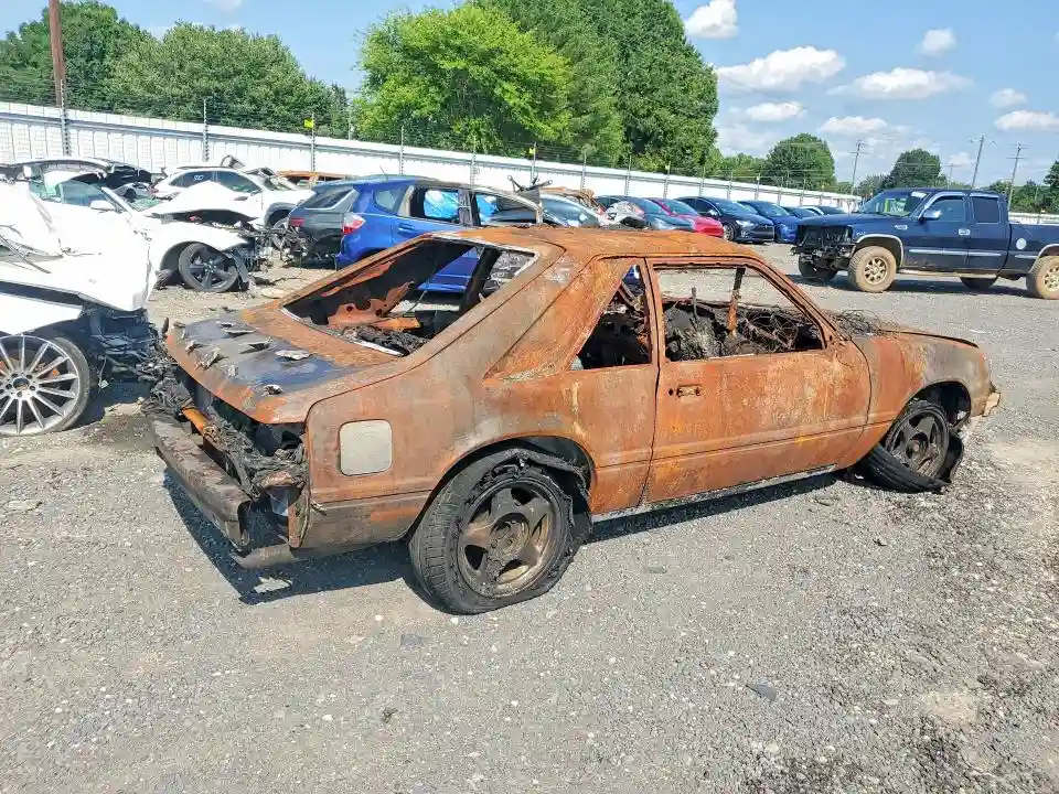 1FABP28M2EF225358 1984 FORD MUSTANG-2