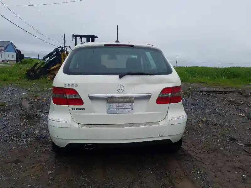 WDDFH3DB3BJ741343 2011 MERCEDES-BENZ B-CLASS-5