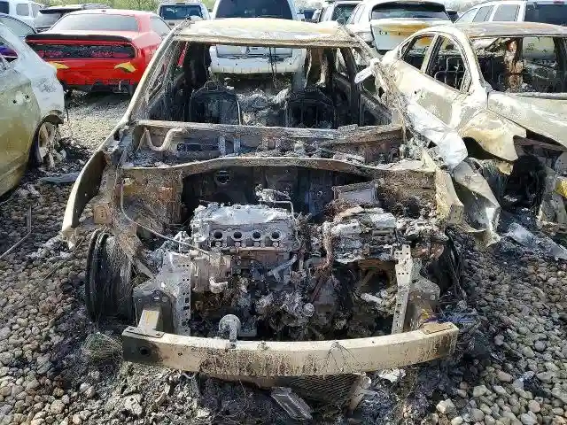 KNDCM3LD8K5289068 2019 KIA-4