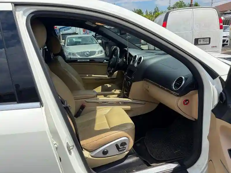 4JGBF7BE6AA582217 2010 MERCEDES-BENZ GL-CLASS-4