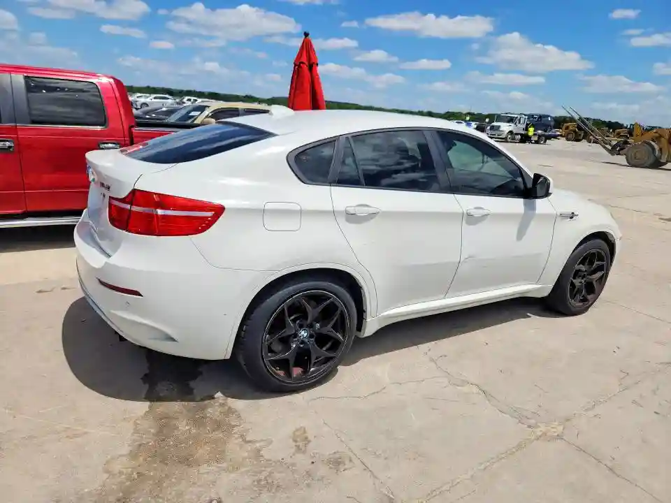 5YMGZ0C50ALK13081 2010 BMW X6-2